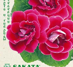 Глоксиния Брокада красная F1