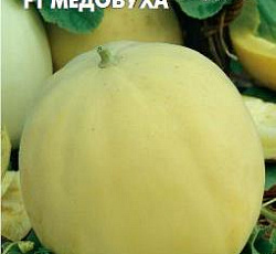 Дыня Медовуха F1