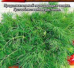 Укроп Душистый пучок