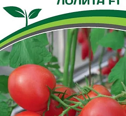Томат Лолита F1
