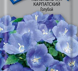 Колокольчик Карпатский (кампанула) Голубой
