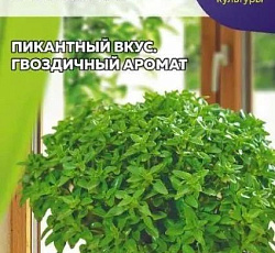 Базилик Мини