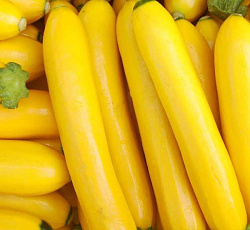 Кабачок Желтый банан F1 (цуккини)