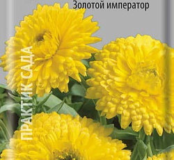 Календула Махровая Золотой император