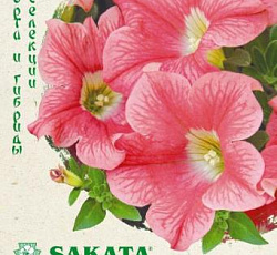 Петуния крупноцветковая Игл персиковая F1