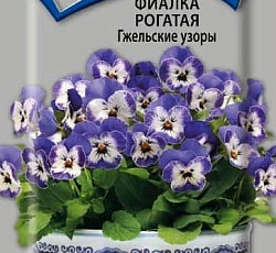 Фиалка Рогатая Гжельские узоры