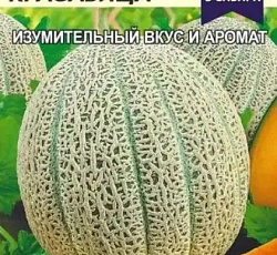 Дыня Восточная Красавица