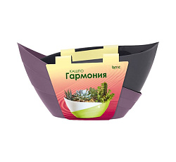 Кашпо "Гармония" (1,5л) Цв. Сливовый/Антрацит (КШ-9063)