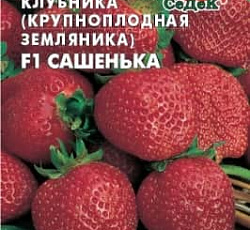 Клубника крупноплодная Сашенька F1 (земляника)