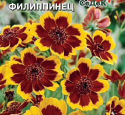 Космидиум Филиппинец