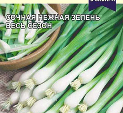 Лук Белый пучок (на зелень)