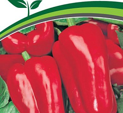 Перец сладкий Клаудио F1