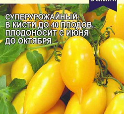 Томат Цыпочка