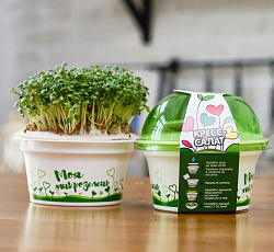 Набор для выращивания "Моя микрозелень" - КРЕСС-САЛАТ