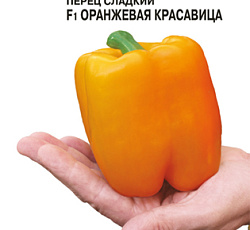 Перец сладкий Оранжевая красавица F1