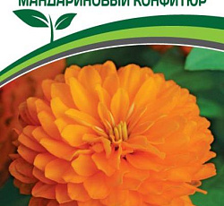 Цинния махровая "Барышня-крестьянка" Мандариновый Конфитюр