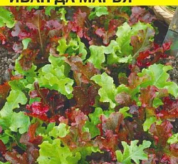 Салат Иван да Марья (смесь, листовой)