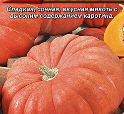 Тыква крупноплодная Медовый десерт