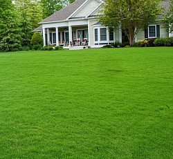 Газон ТопГрин Мини