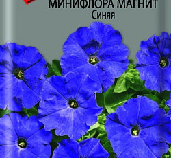 Петуния минифлора Магнит Синяя