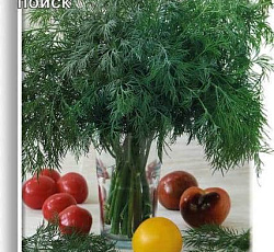 Укроп Салют