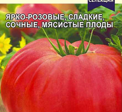 Томат Бийская роза