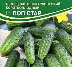 Огурец Поп стар F1
