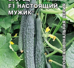 Огурец Настоящий мужик F1