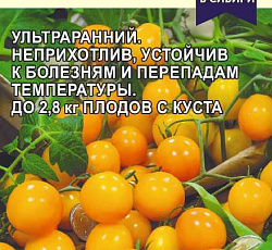 Томат Монеточка