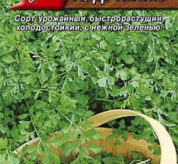 Кресс-салат Кудрявый