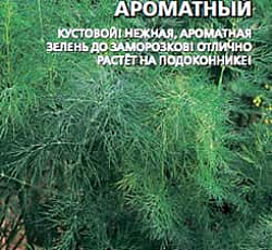 Укроп Пучковый ароматный