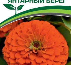 Цинния георгиновидная "Фэнтези" F1 Янтарный Берег