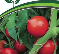 Томат Диадема F1