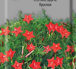 Ипомея (квакомклит) Созвездие Красная