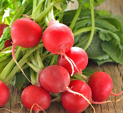 Редис Заря