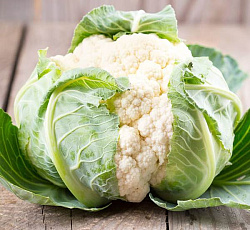 Капуста цветная Альфа