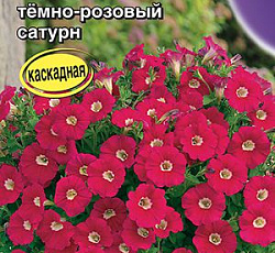 Петуния Джоконда мини Темно-розовый сатурн F1