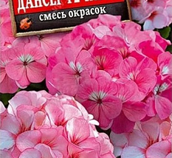 Пеларгония зональная Дансер F2 Тауэр (смесь окрасок)