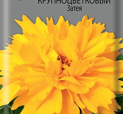 Кореопсис крупноцветковый Затея