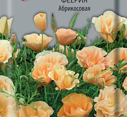 Эшшольция феерия Абрикосовая