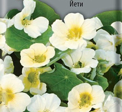 Настурция Большая Йети