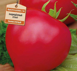 Томат Вояж F1