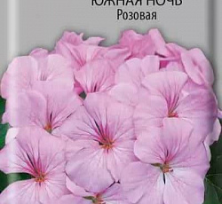 Пеларгония Зональная Южная Ночь Розовая