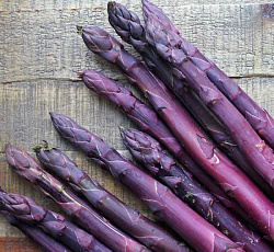Спаржа Фиолетовая
