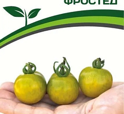 Томат Фростед