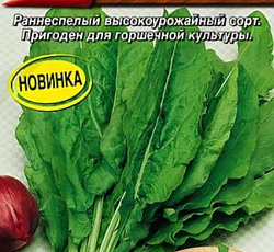 Щавель Никольский