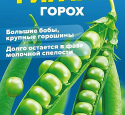 Горох Сибирский гигант
