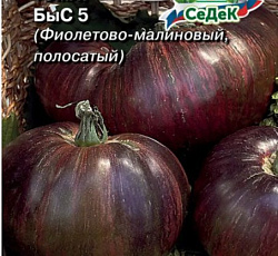 Томат Быс 5 (фиолетово-малиновый, полосатый)