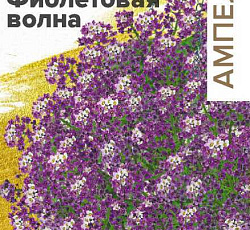 Алиссум ампельный Кристалл F1 Фиолетовая волна