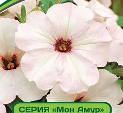 Петуния Мон Амур Виржини F1 многоцветковая прямостоячая